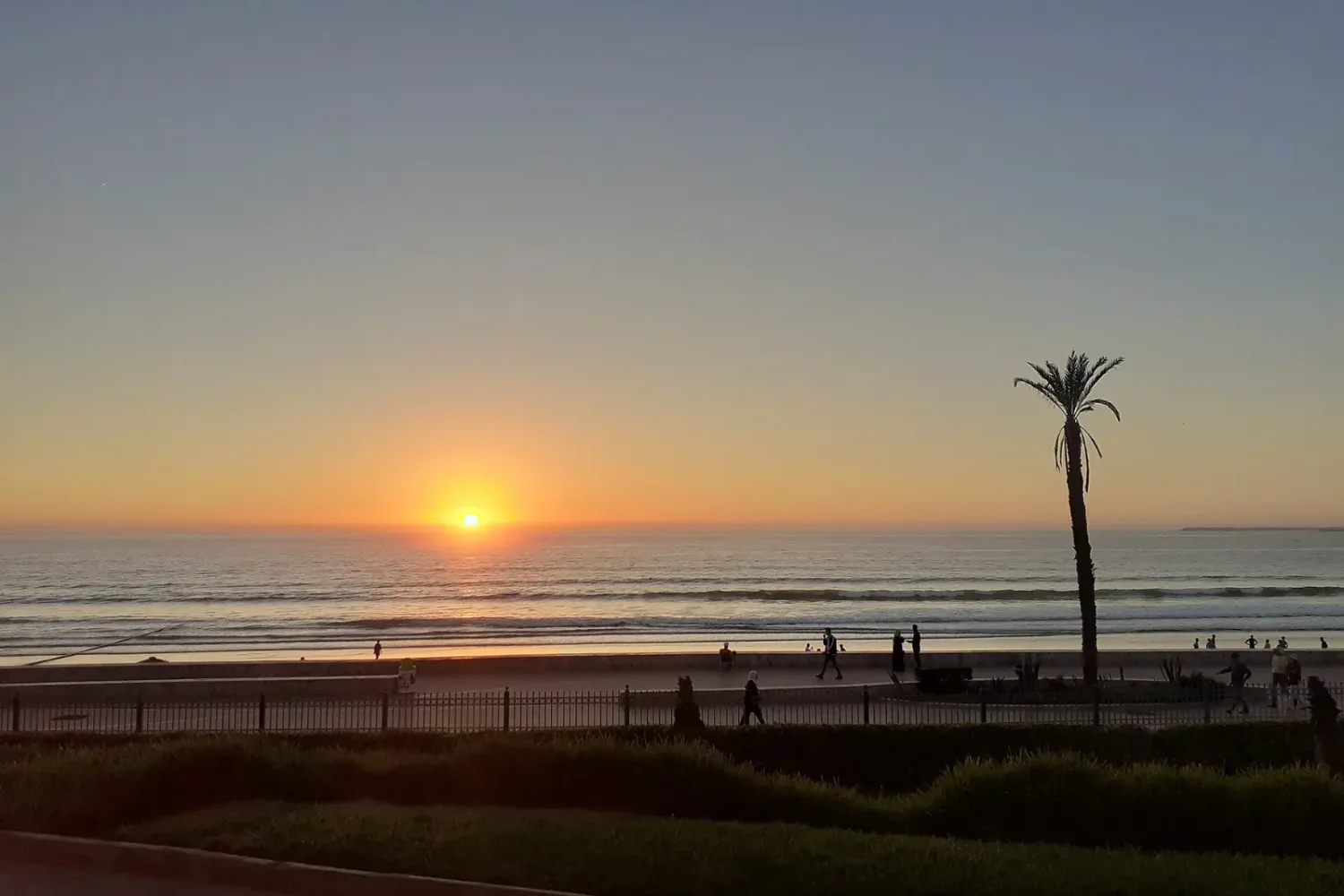 Sunset over Agadir beach and palm trees