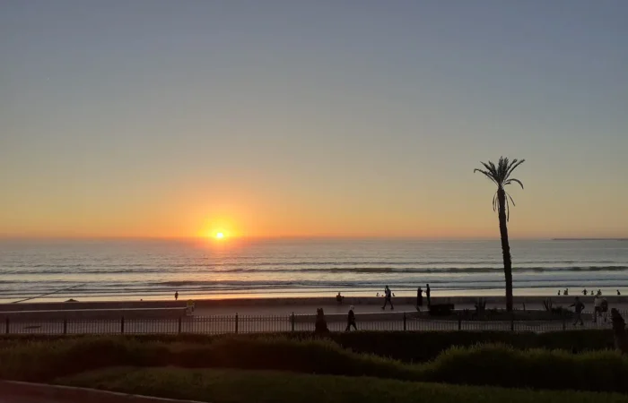 Sunset over Agadir beach and palm trees