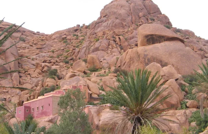 Pink granite rocks and argan trees in the Anti-Atlas
