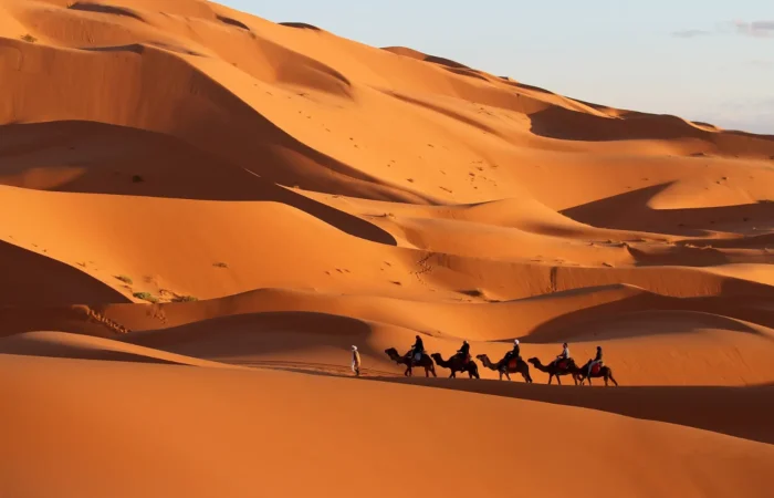 Camel caravan crossing the dunes near Merzouga
