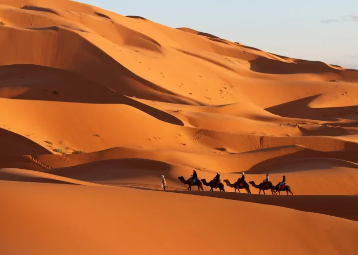 Camel caravan crossing the dunes near Merzouga