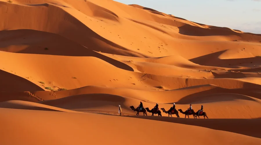 Camel caravan crossing the dunes near Merzouga