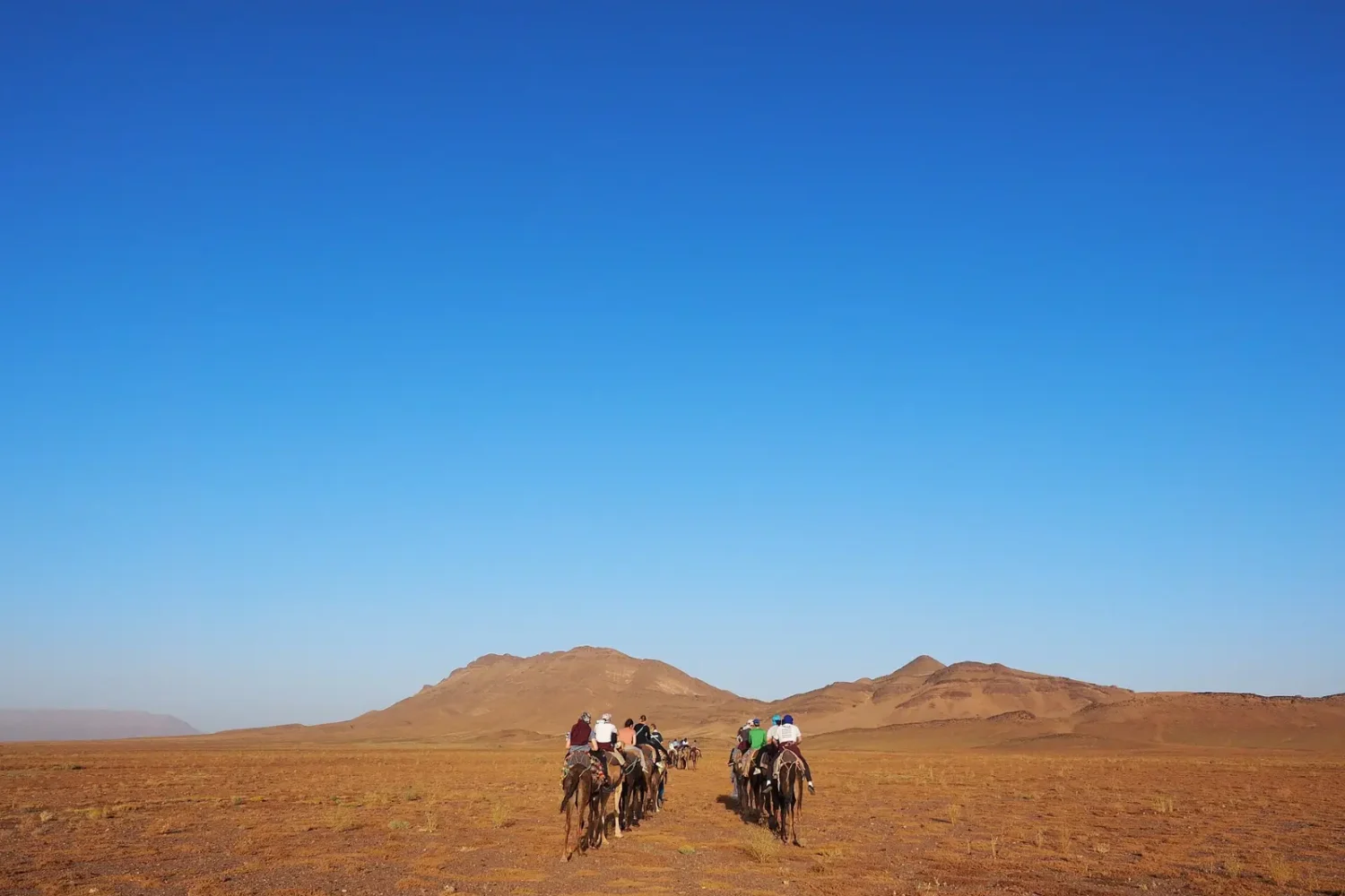 Camel trek on the dunes near Zagora