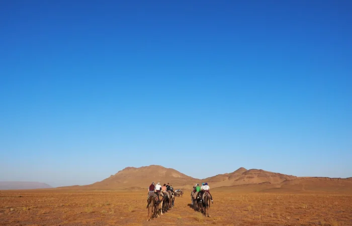 Camel trek on the dunes near Zagora