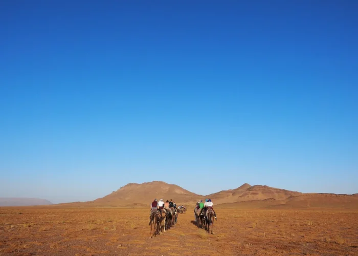 Camel trek on the dunes near Zagora