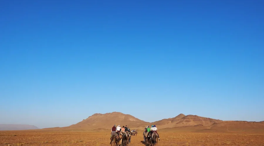 Camel trek on the dunes near Zagora