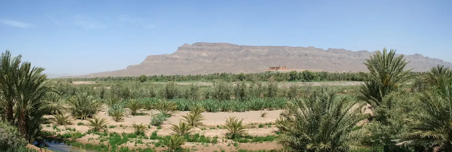 Kasbah and palm groves in the Draa Valley