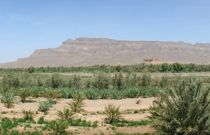 Kasbah and palm groves in the Draa Valley