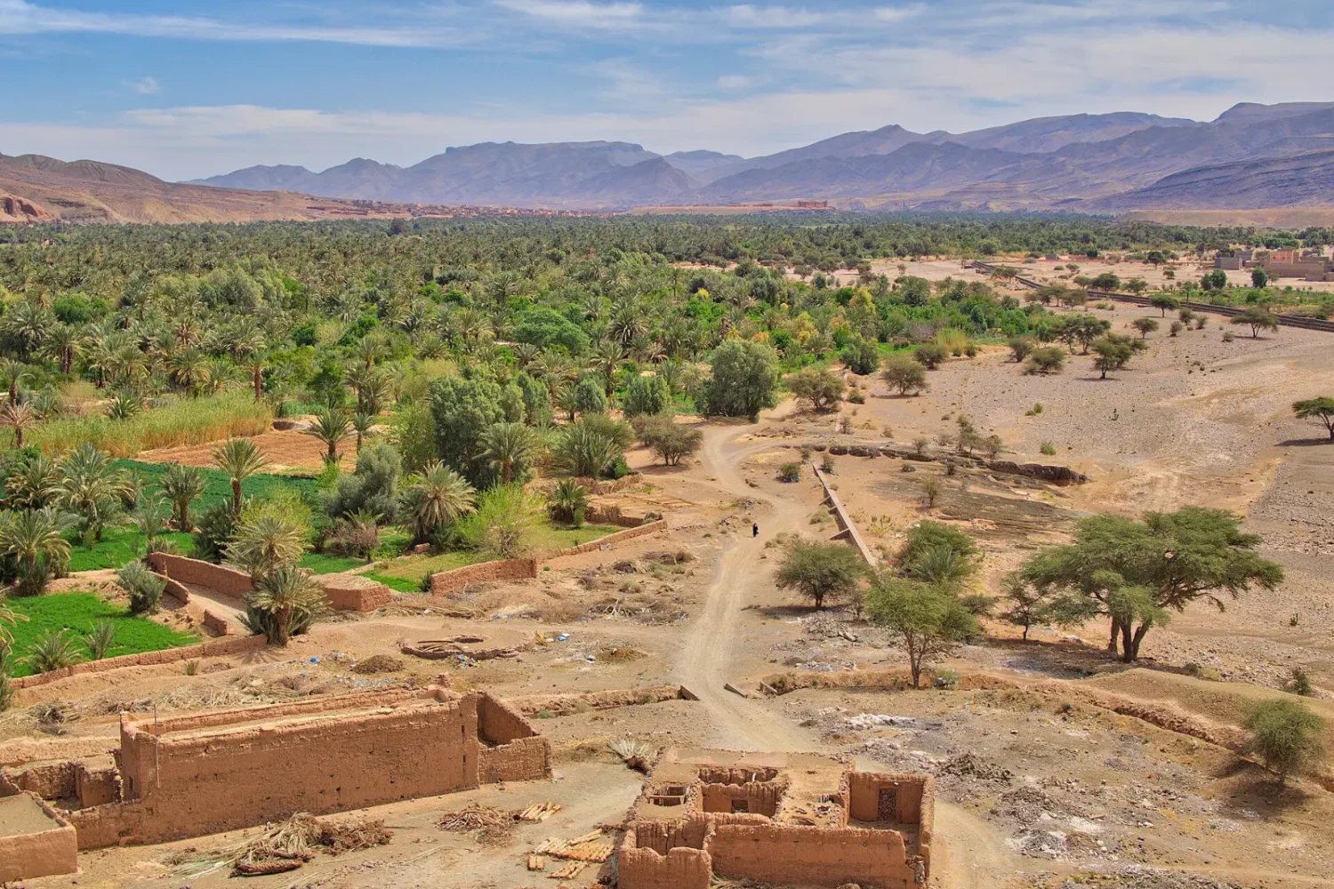 Palm groves along the Draa Valley
