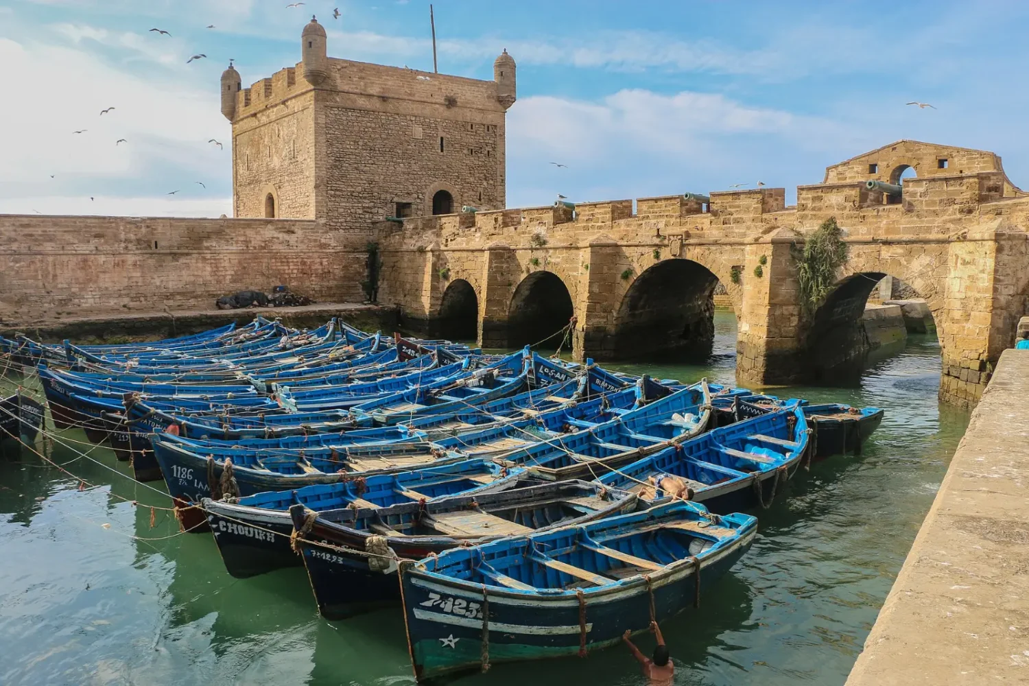 Essaouira sea fortress and blue fishing boats