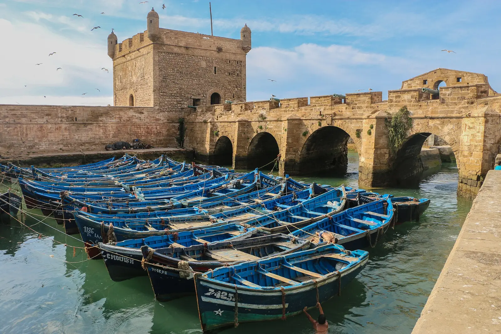 Essaouira sea fortress and blue fishing boats