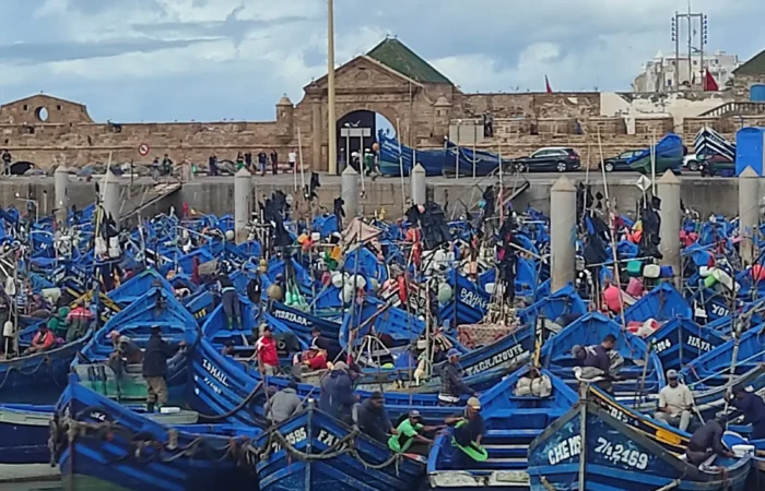 Blue fishing boats in the port of Essaouira Blue fishing boats in the port of Essaouira