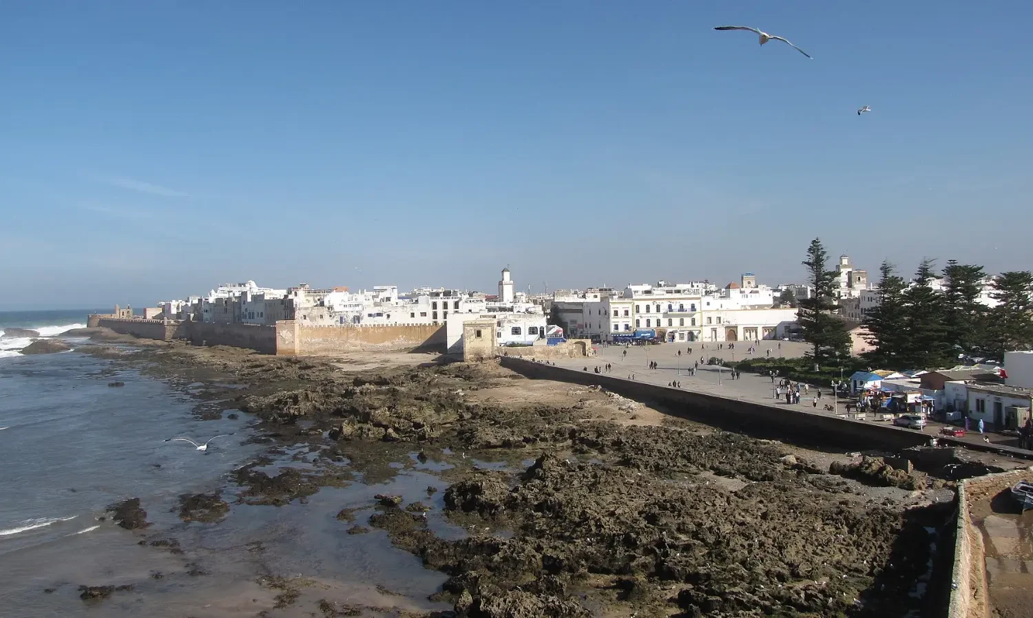 The medina of Essaouira seen from the sea