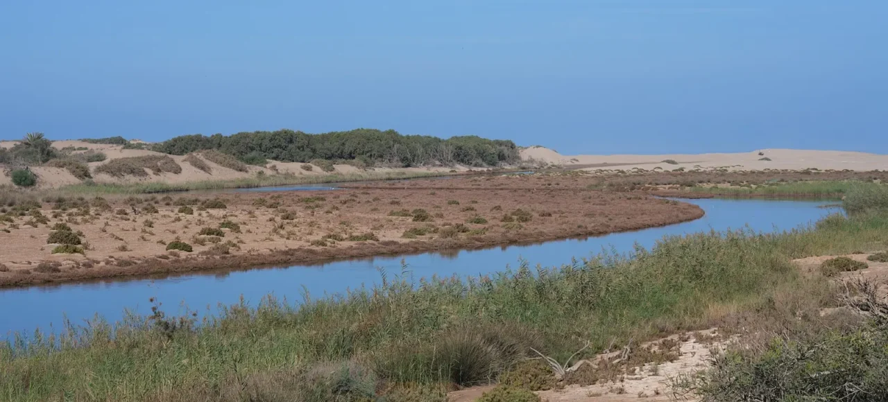 The Massa river near Sidi Rabat in Souss-Massa National Park