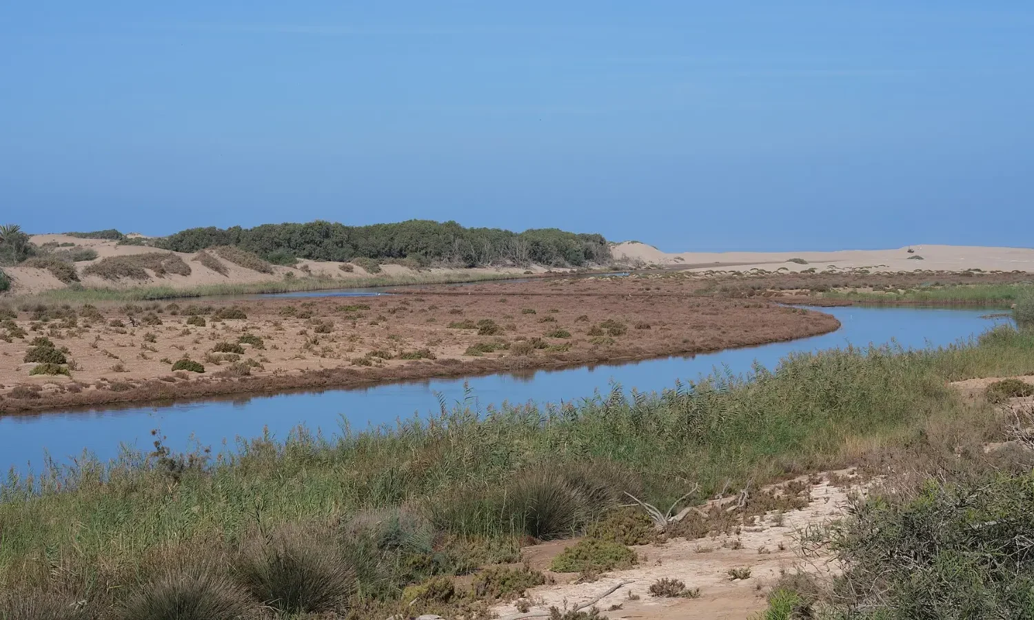 The Massa river near Sidi Rabat in Souss-Massa National Park