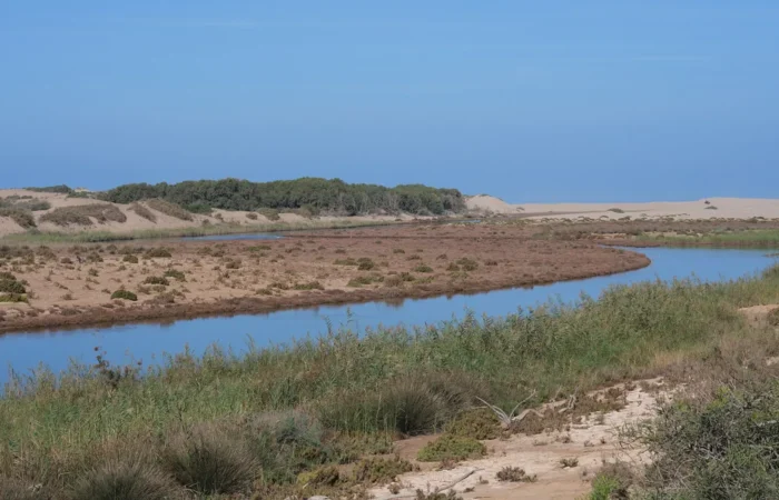 The Massa river near Sidi Rabat in Souss-Massa National Park