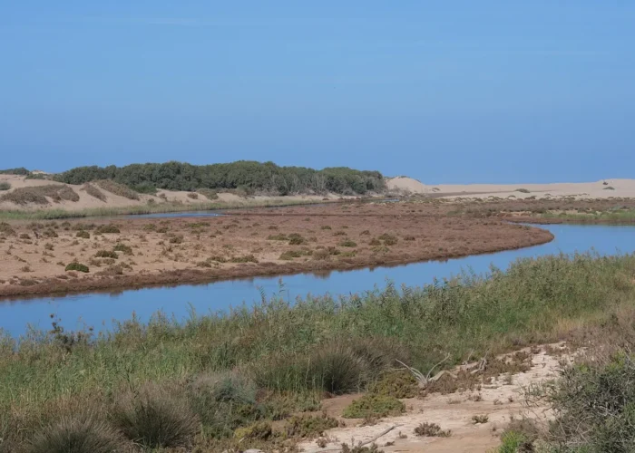 The Massa river near Sidi Rabat in Souss-Massa National Park