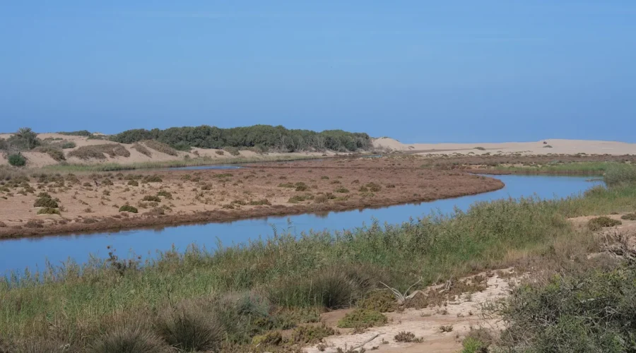 The Massa river near Sidi Rabat in Souss-Massa National Park
