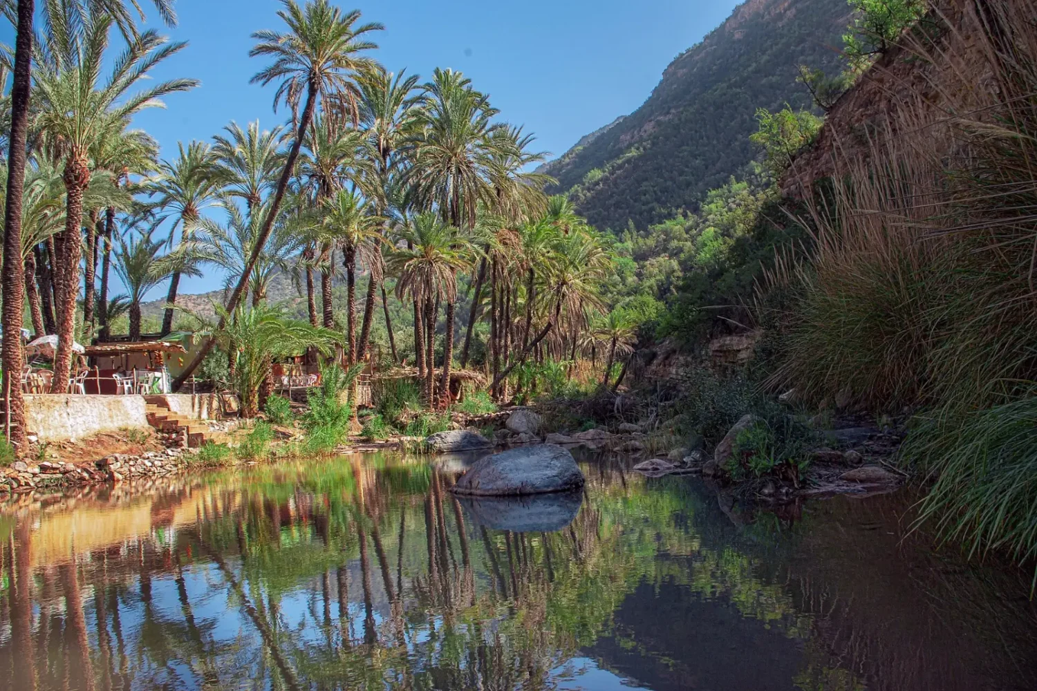 Palm trees and river pools in Paradise Valley, Ida Outanane