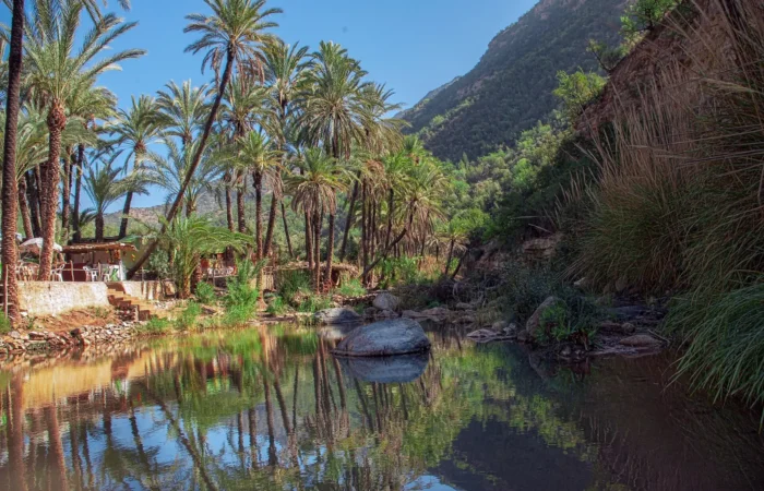 Palm trees and river pools in Paradise Valley, Ida Outanane