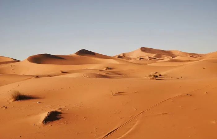 Golden Sahara dunes landscape