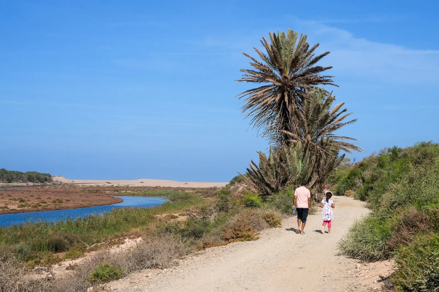 Nature trail in Souss-Massa National Park