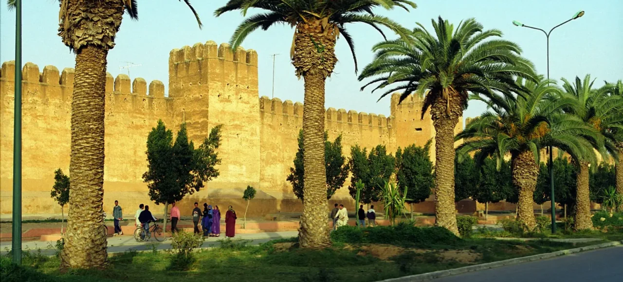 Ochre ramparts of Taroudant lined with palm trees