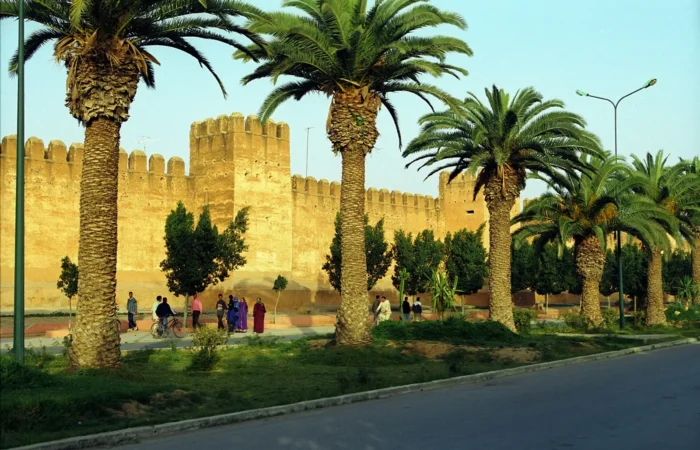 Ochre ramparts of Taroudant lined with palm trees