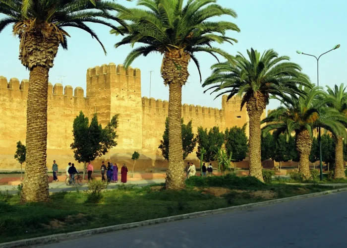 Ochre ramparts of Taroudant lined with palm trees