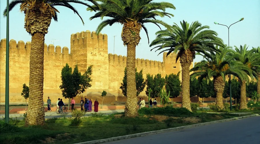 Ochre ramparts of Taroudant lined with palm trees