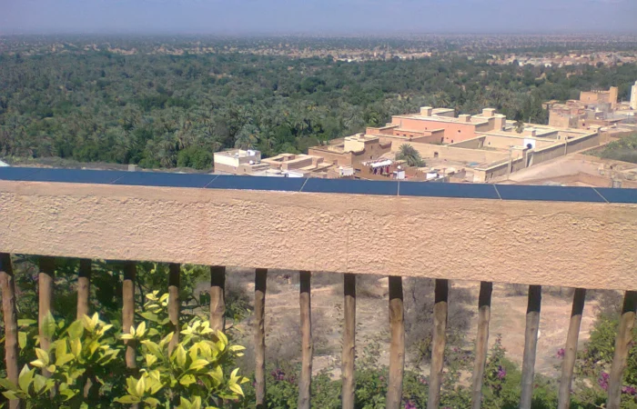 Palm grove of the Tiout oasis, Taroudant province