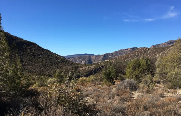 Green valley floor of Paradise Valley in the Atlas foothills